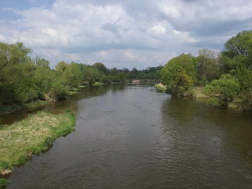 Pilica River